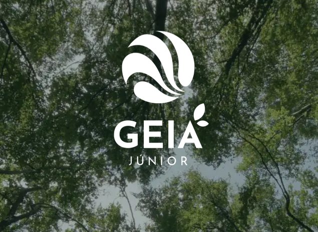 Prévia do projeto GEIA Júnior